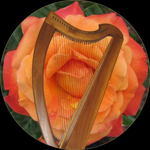 Roseharp logo